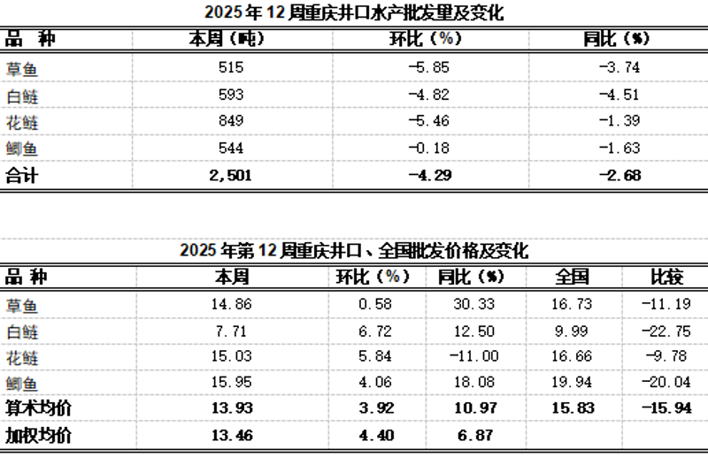 重庆批发公司的新时代转型：机遇与挑战同行